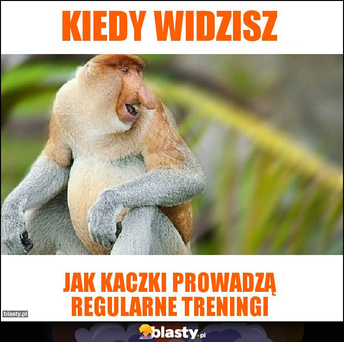kiedy widzisz kiedy widzisz