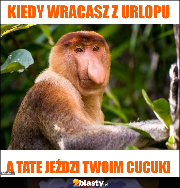 Kiedy wracasz z urlopu Kiedy wracasz z urlopu