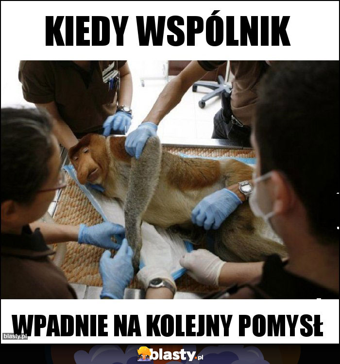KIEDY WSPÓLNIK KIEDY WSPÓLNIK