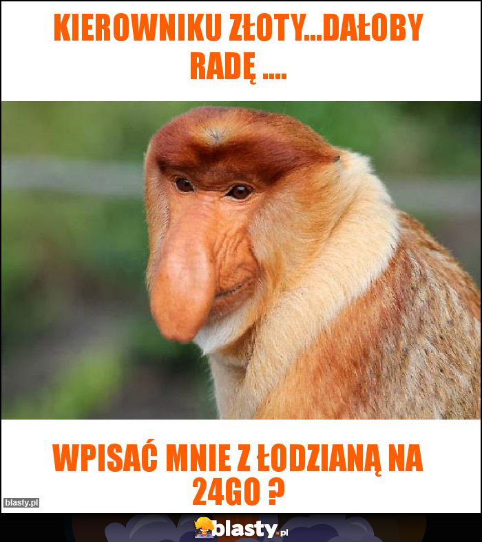 Kierowniku złoty...dałoby radę .... Kierowniku złoty...dałoby radę ....