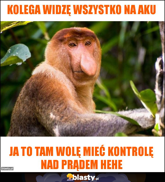 Kolega widzę wszystko na aku Kolega widzę wszystko na aku