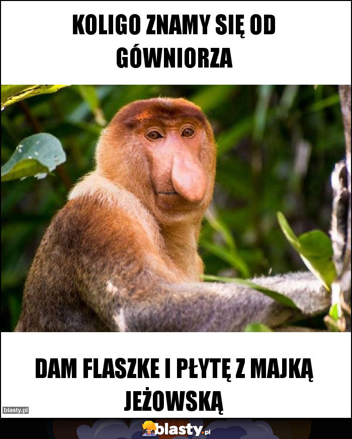 Koligo znamy się od gówniorza Koligo znamy się od gówniorza