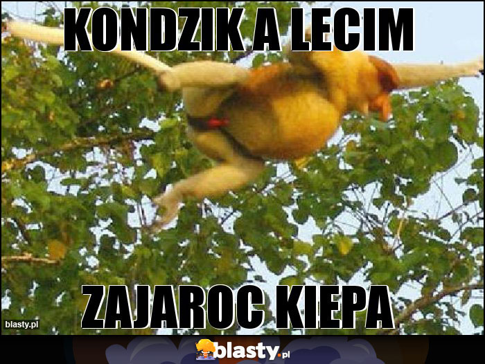 KONDZIK A LECIM KONDZIK A LECIM