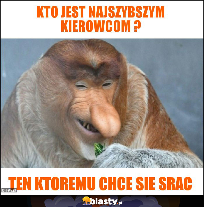 Kto jest najszybszym kierowcom ? Kto jest najszybszym kierowcom ?