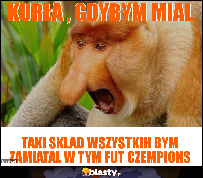 Kurła , gdybym mial Kurła , gdybym mial