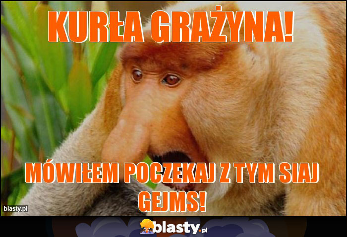 KURŁA GRAŻYNA! KURŁA GRAŻYNA!
