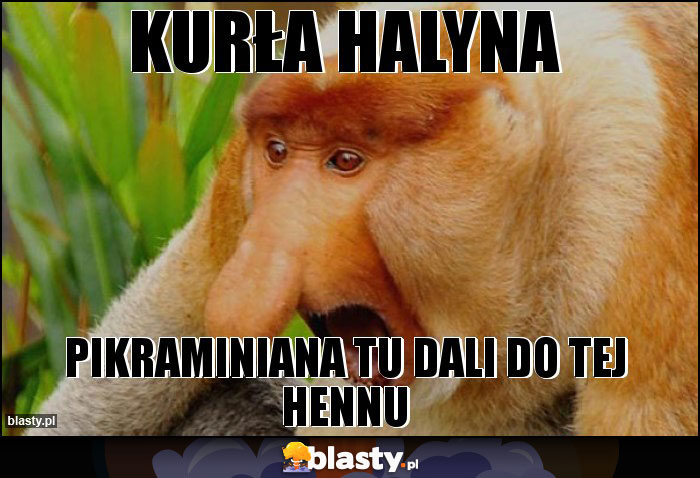 kurła halyna kurła halyna