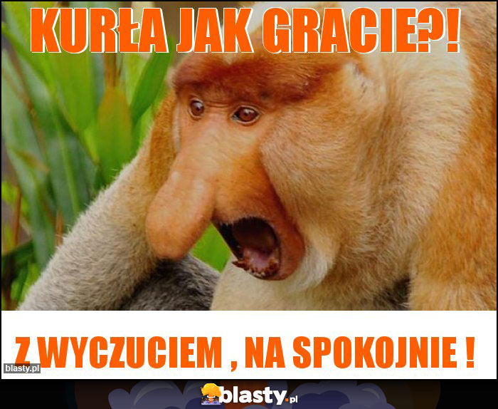 Kurła jak gracie?! Kurła jak gracie?!