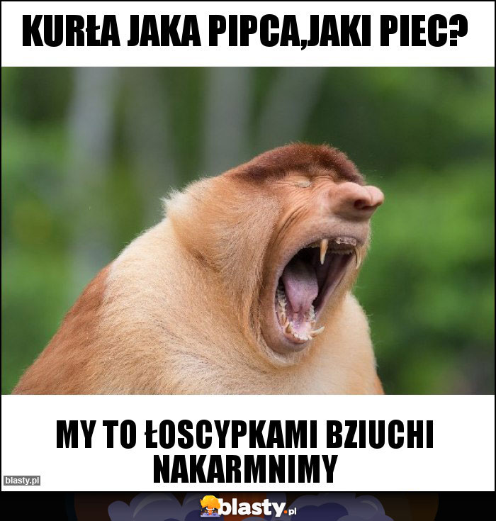 Kurła jaka pipca,jaki piec? Kurła jaka pipca,jaki piec?