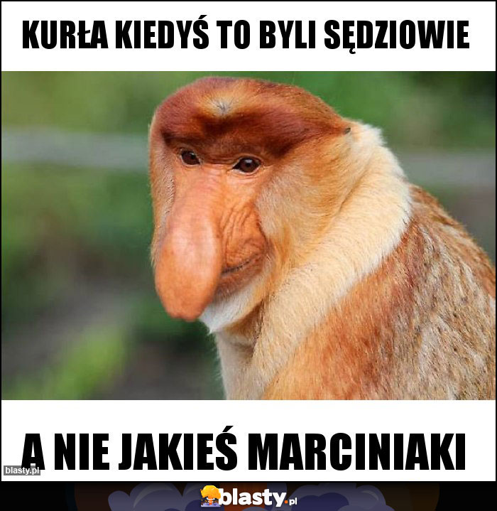 Kurła kiedyś to byli sędziowie Kurła kiedyś to byli sędziowie