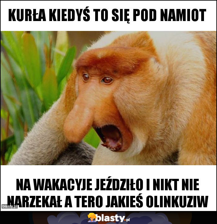 Kurła kiedyś to się pod namiot Kurła kiedyś to się pod namiot