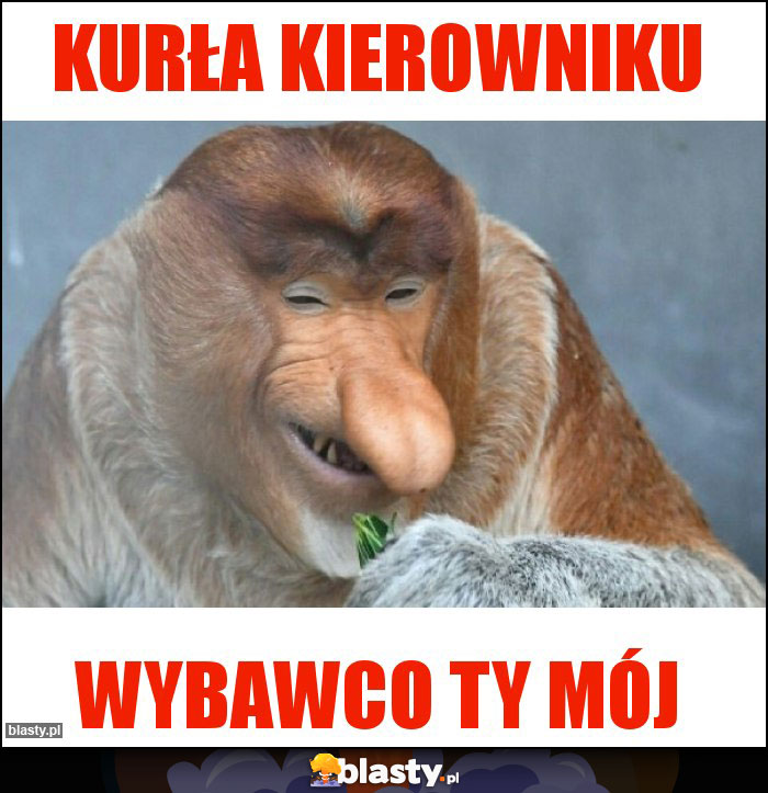 Kurła Kierowniku