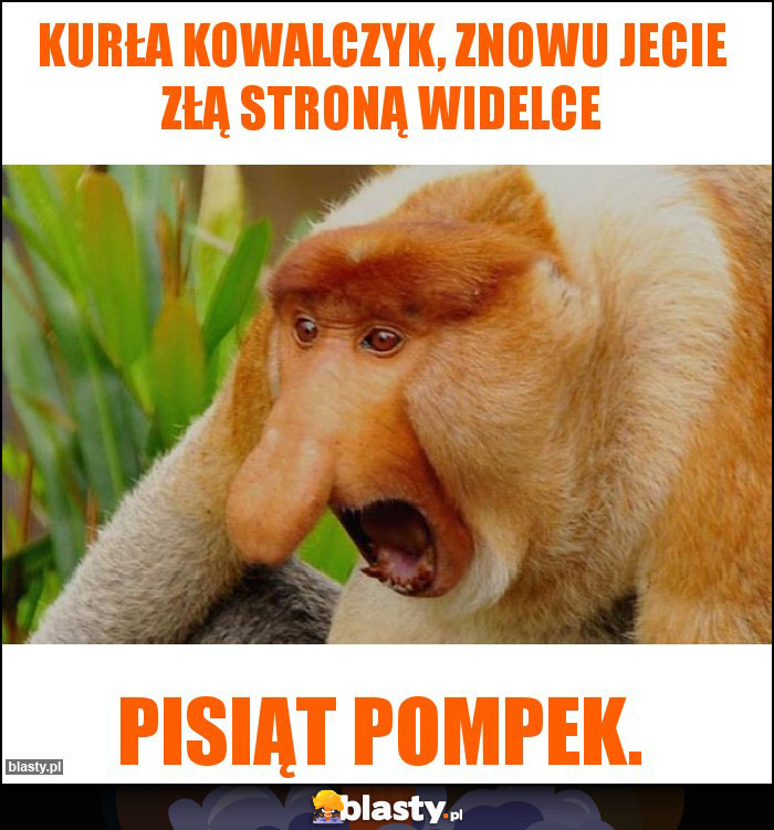 Kurła Kowalczyk, znowu jecie złą stroną widelce Kurła Kowalczyk, znowu jecie złą stroną widelce