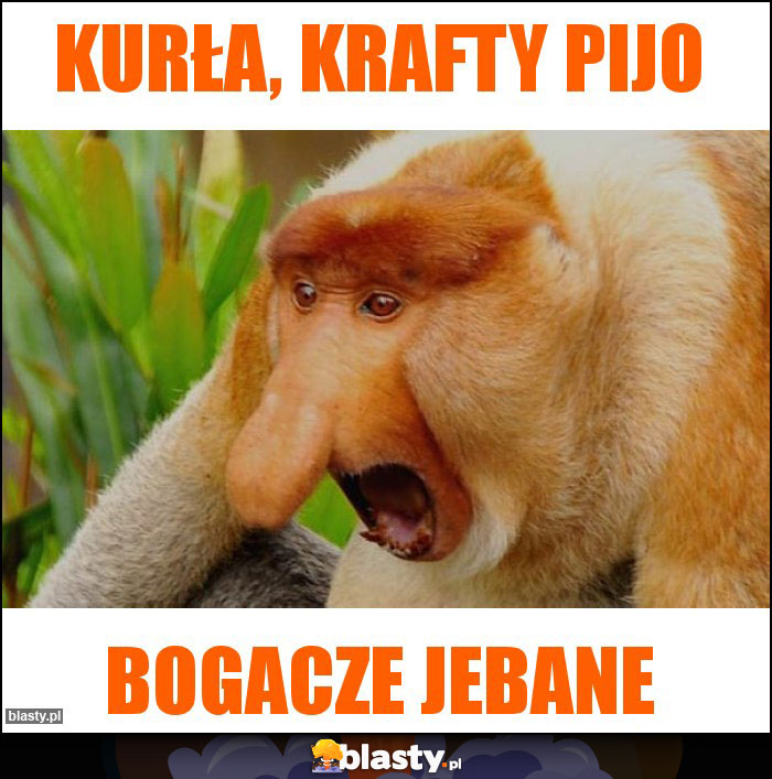 Kurła, krafty pijo Kurła, krafty pijo