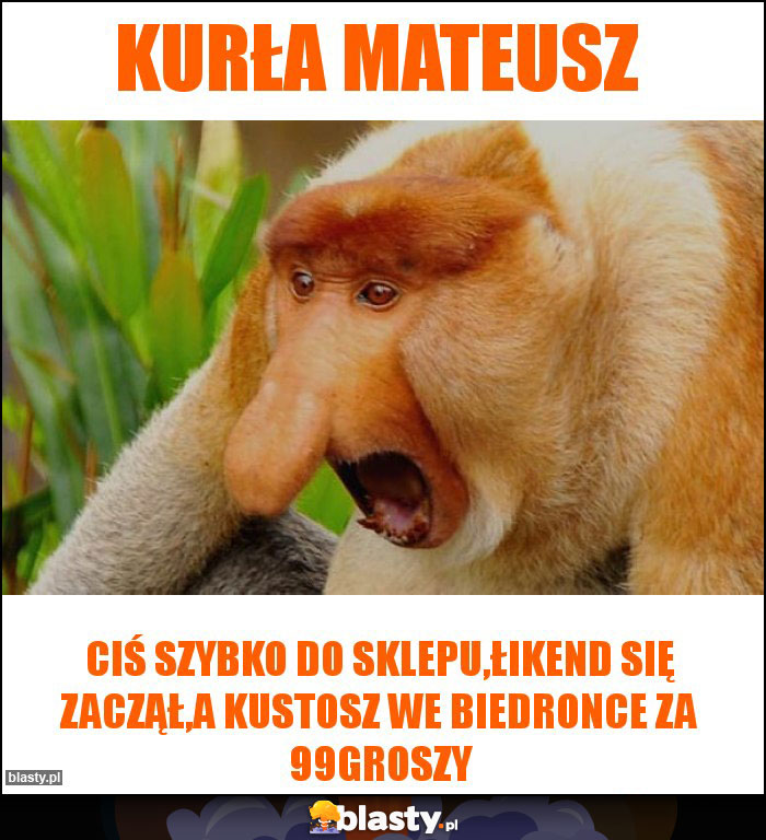 Kurła mateusz Kurła mateusz