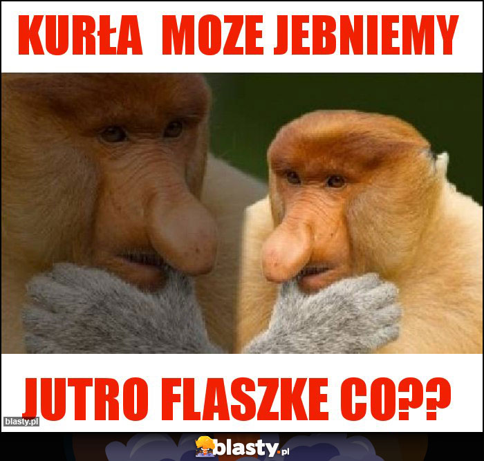 KURŁA MOZE JEBNIEMY KURŁA MOZE JEBNIEMY