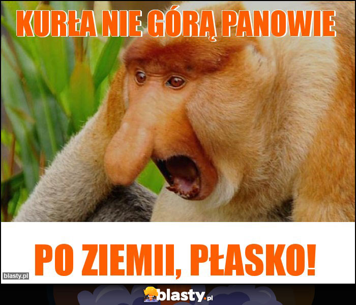Kurła nie górą panowie Kurła nie górą panowie