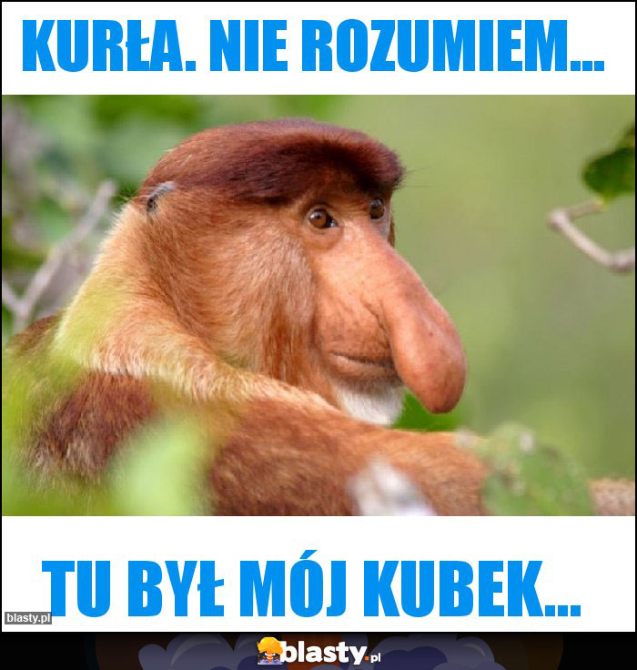 Kurła. Nie rozumiem... Kurła. Nie rozumiem...