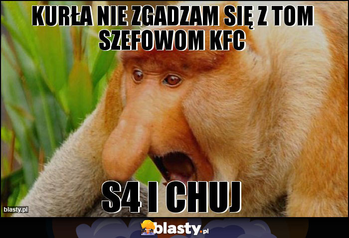 Kurła nie zgadzam się z tom szefowom KFC Kurła nie zgadzam się z tom szefowom KFC