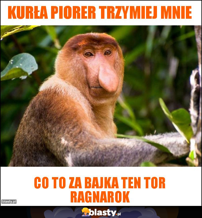 Kurła Piorer trzymiej mnie Kurła Piorer trzymiej mnie