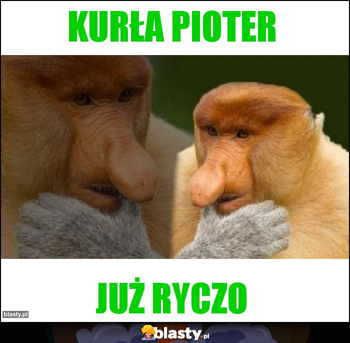 Kurła Pioter Kurła Pioter