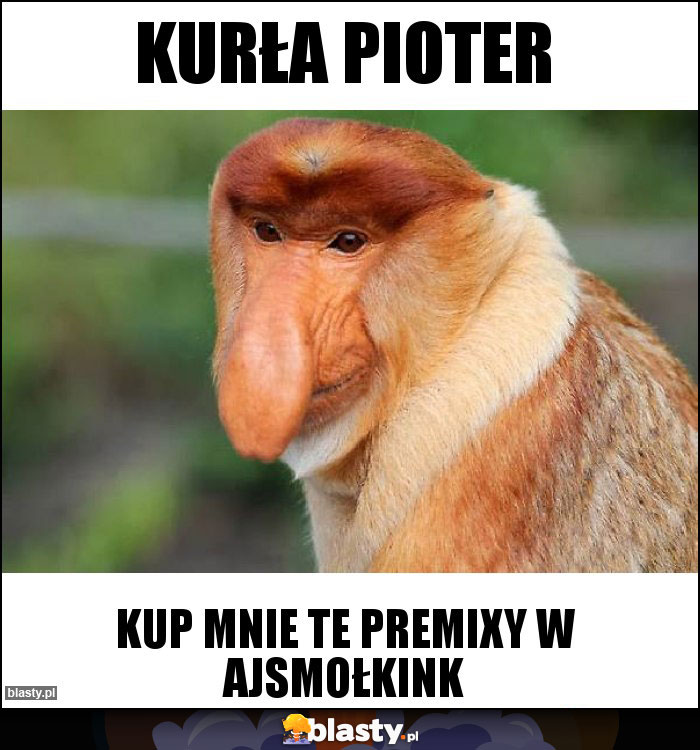 Kurła Pioter Kurła Pioter