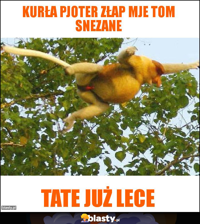 Kurła Pjoter złap mje tom Snezane Kurła Pjoter złap mje tom Snezane