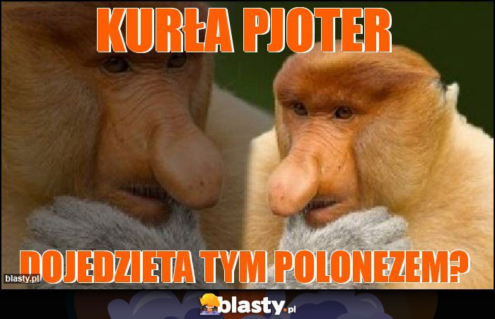 Kurła Pjoter Kurła Pjoter