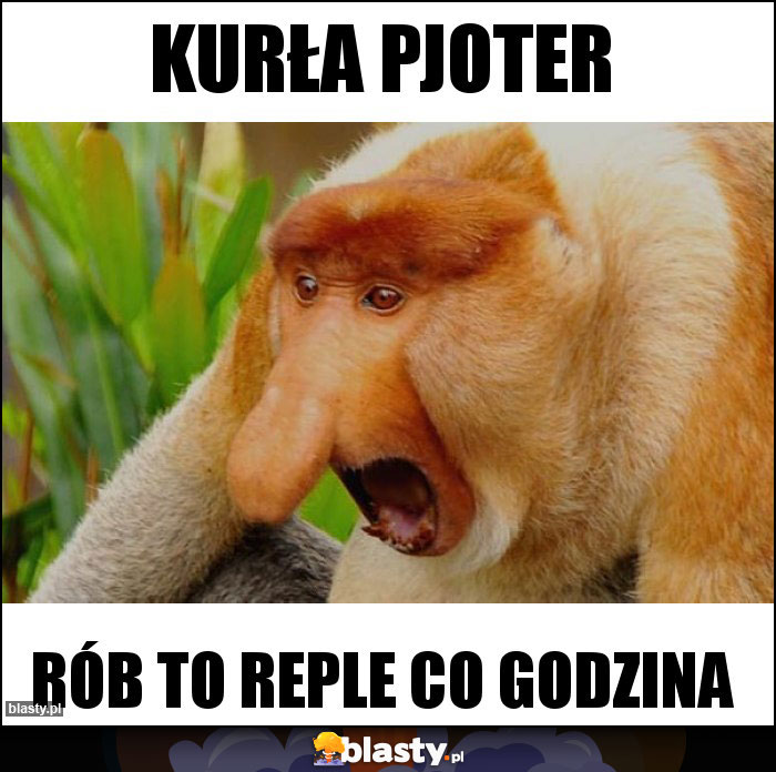 KURŁA PJOTER KURŁA PJOTER