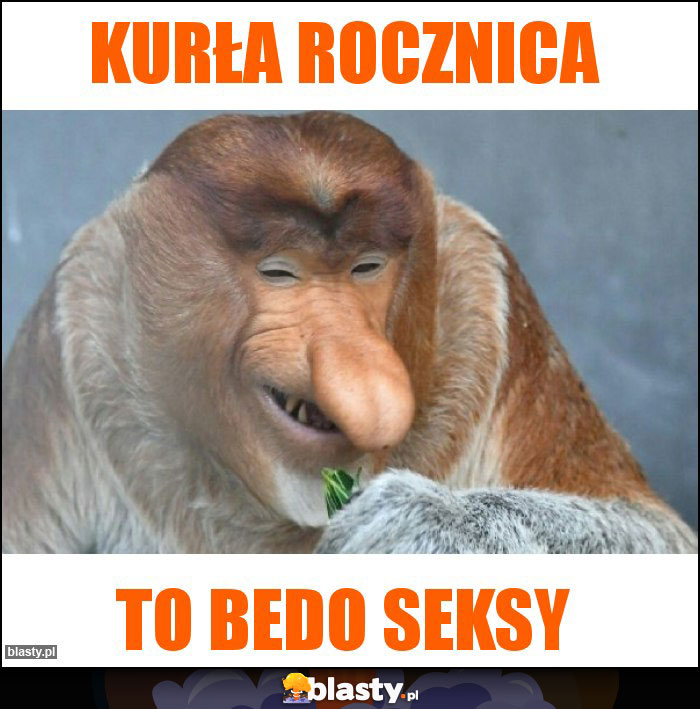 Kurła rocznica Kurła rocznica