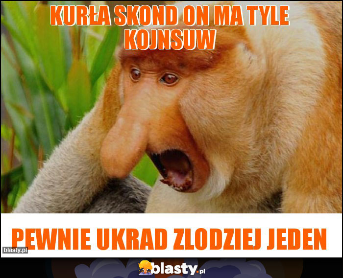 Kurła skond on ma tyle kojnsuw Kurła skond on ma tyle kojnsuw