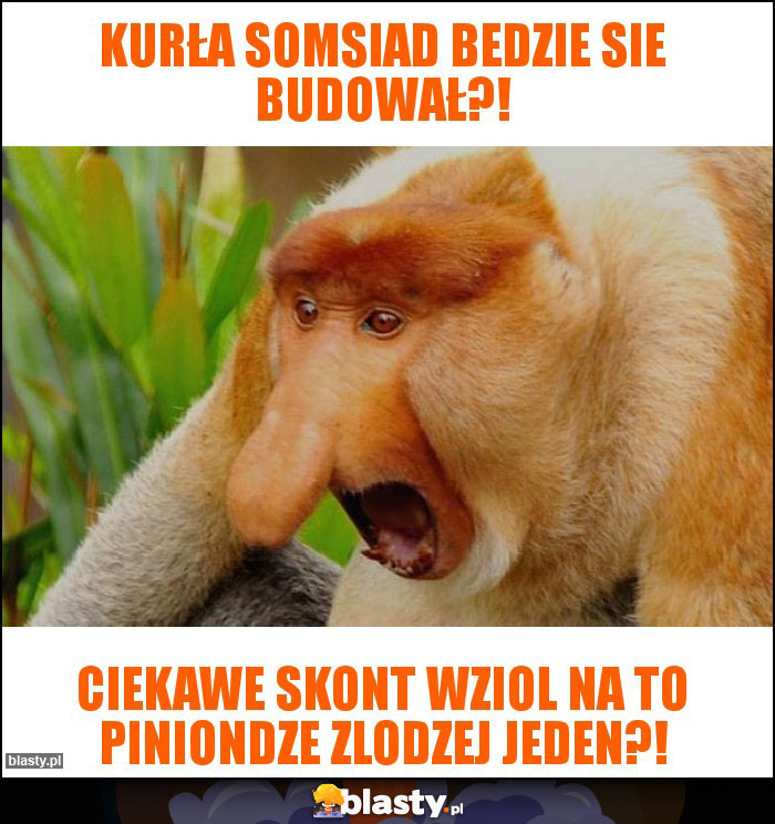 Kurła somsiad bedzie sie budował?! Kurła somsiad bedzie sie budował?!
