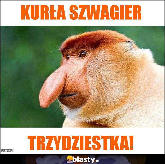 Kurła szwagier Kurła szwagier
