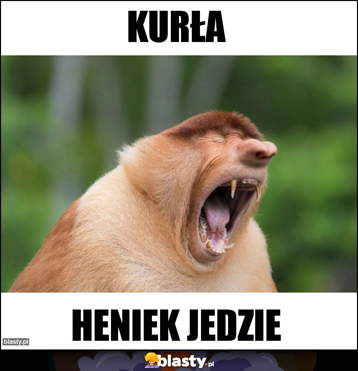 Kurła