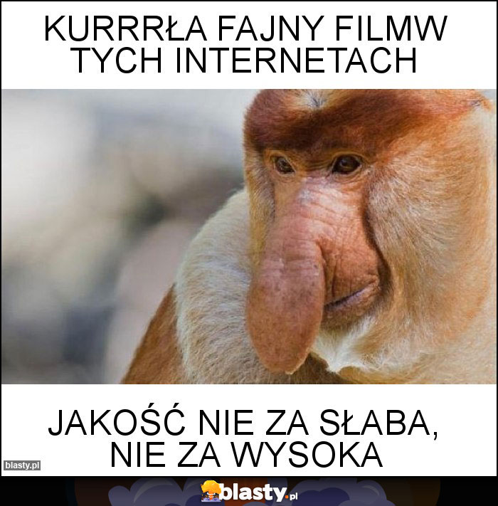 Kurrrła fajny filmw tych internetach Kurrrła fajny filmw tych internetach