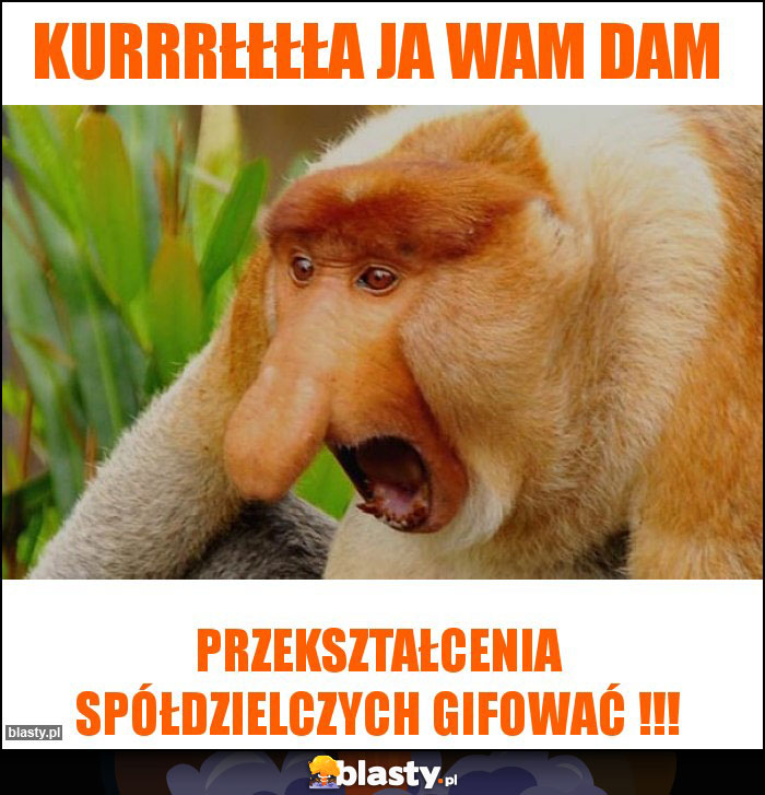 Kurrrłłłła ja Wam dam Kurrrłłłła ja Wam dam