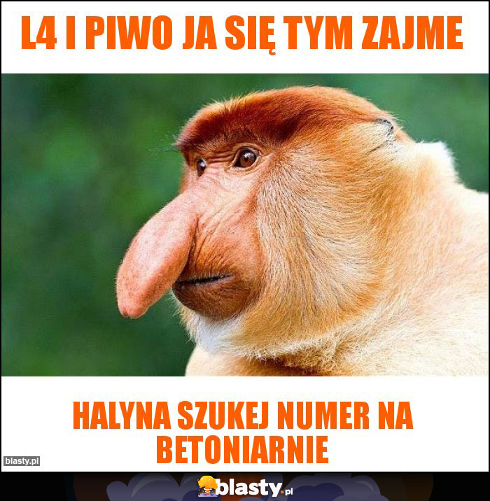 L4 i Piwo ja się tym zajme L4 i Piwo ja się tym zajme