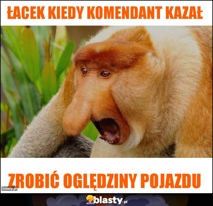 Łacek Kiedy komendant kazał Łacek Kiedy komendant kazał