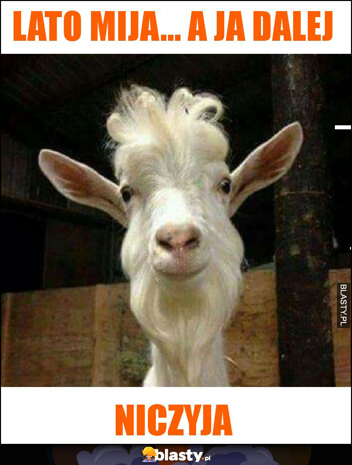 Lato mija... a ja dalej Lato mija... a ja dalej
