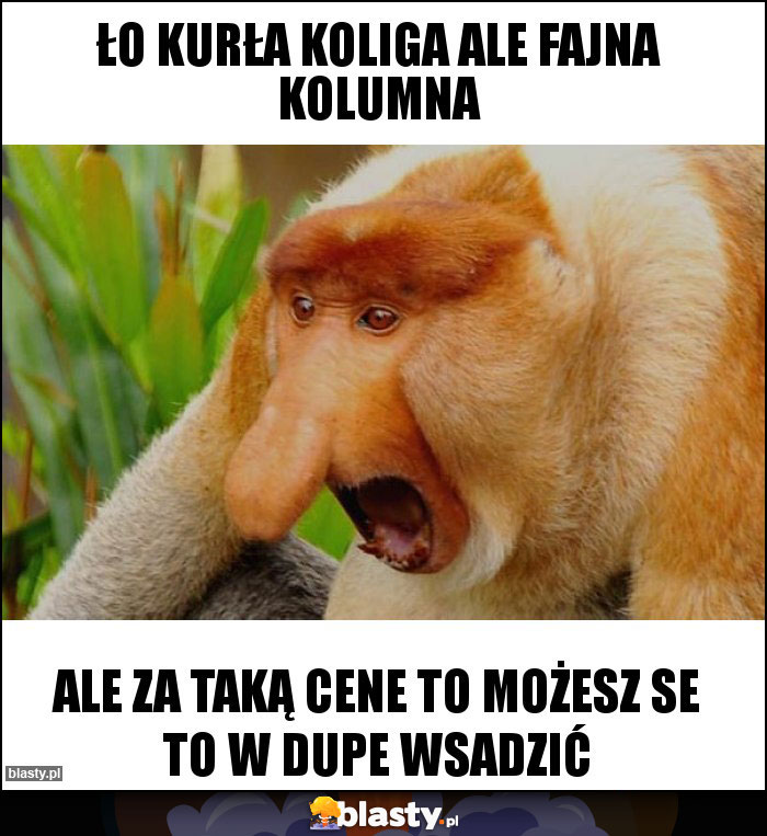 Ło kurła koliga ale fajna kolumna Ło kurła koliga ale fajna kolumna