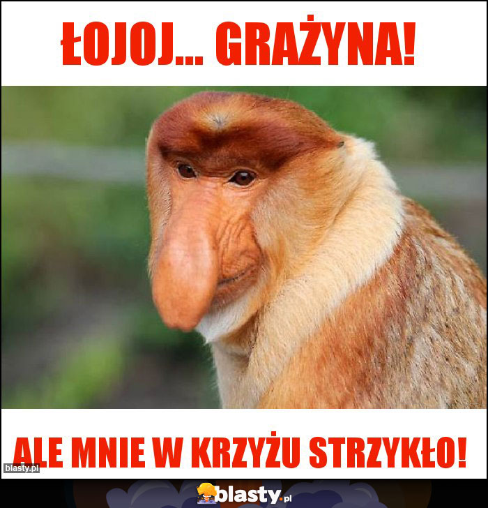 Łojoj... Grażyna! Łojoj... Grażyna!