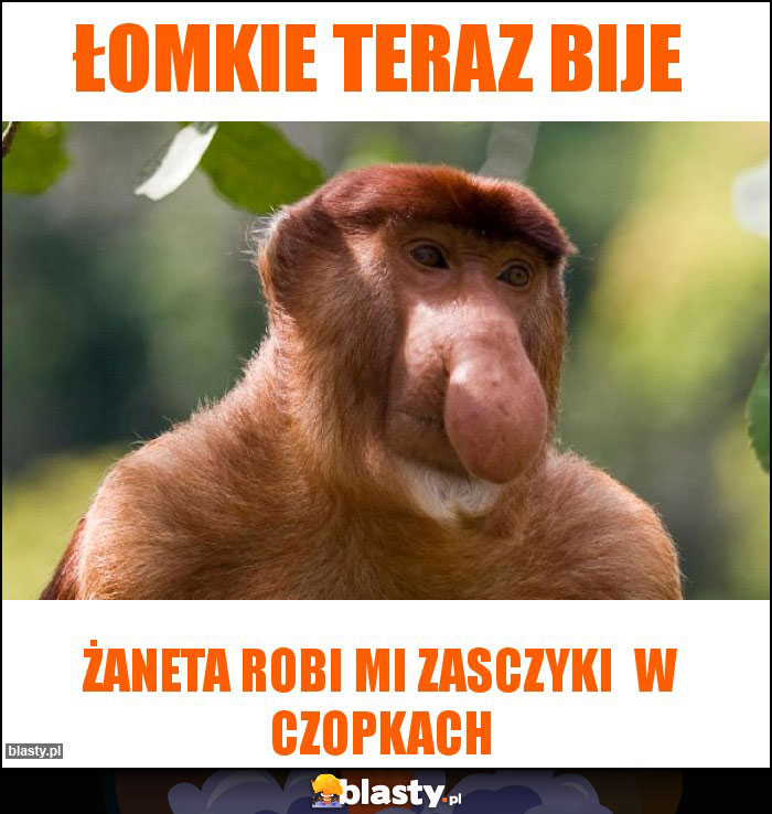 łomkie teraz bije łomkie teraz bije