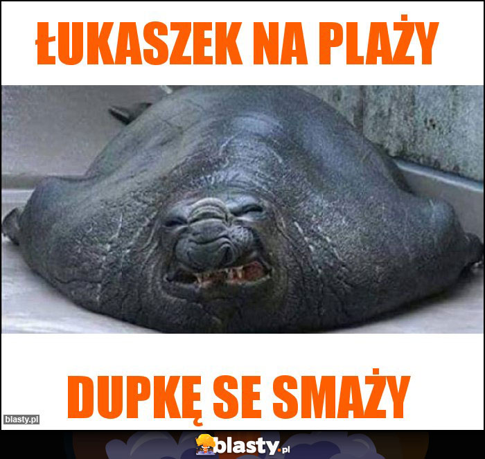 ŁUKASZEK NA PLAŻY ŁUKASZEK NA PLAŻY