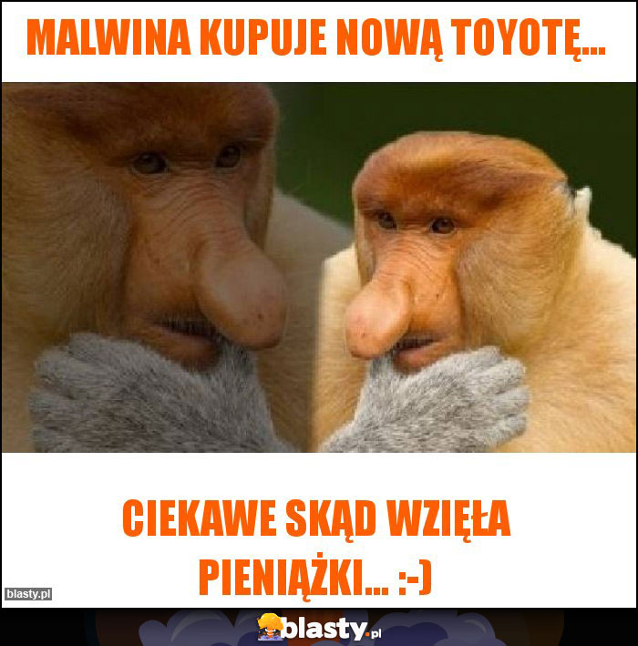 Malwina kupuje nową Toyotę... Malwina kupuje nową Toyotę...
