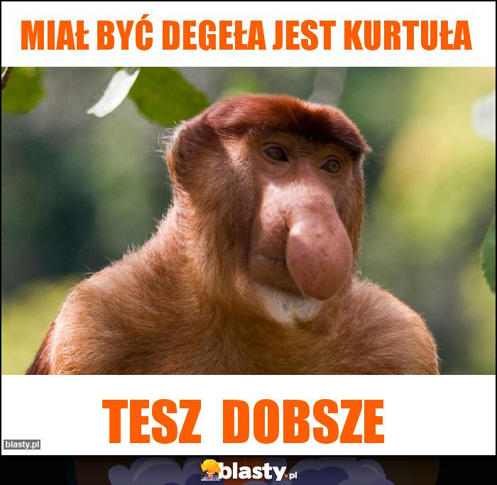 Miał być DEGEŁA jest kurtuła Miał być DEGEŁA jest kurtuła