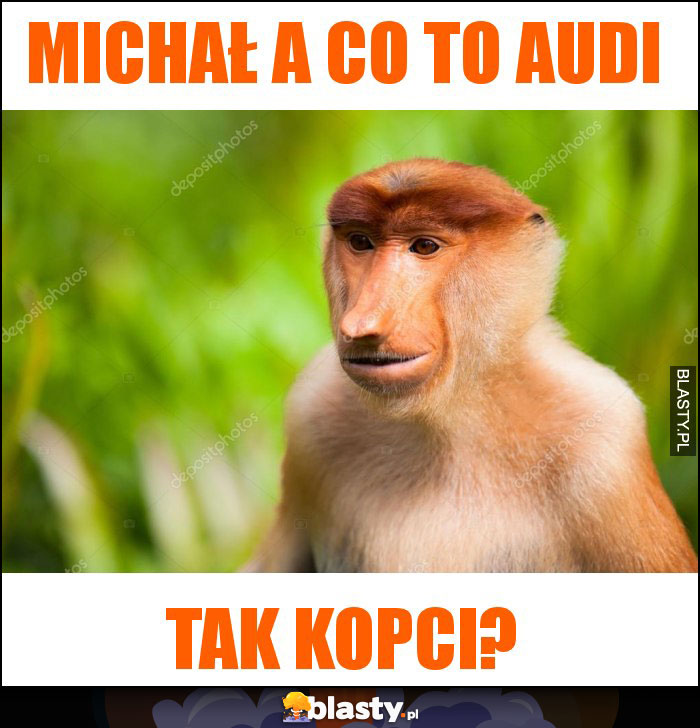 Michał a co to audi Michał a co to audi