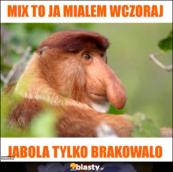 mix to ja mialem wczoraj mix to ja mialem wczoraj