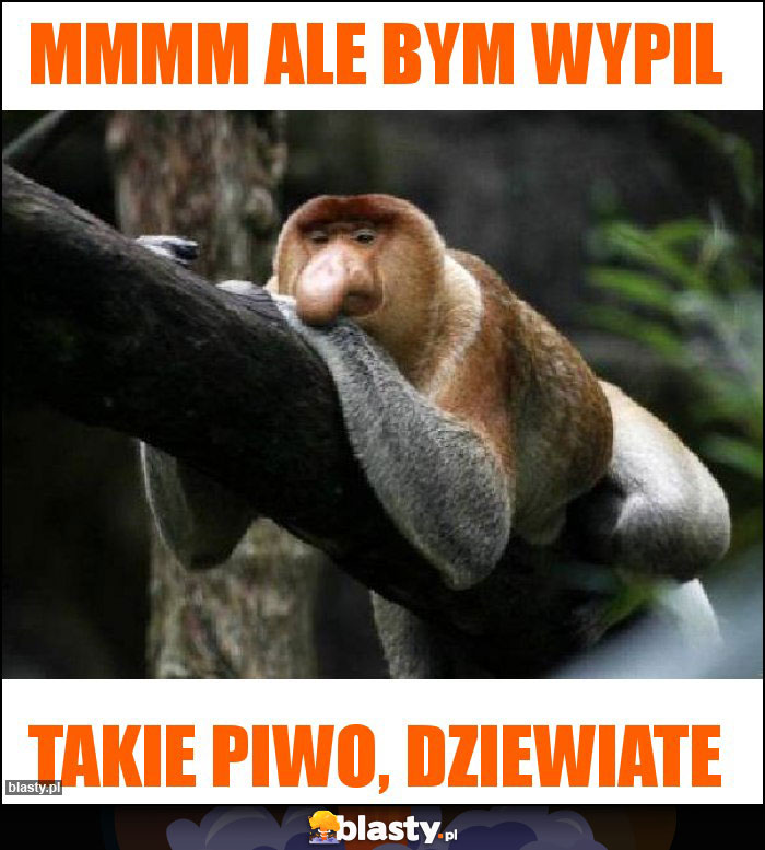 mmmm ale bym wypil