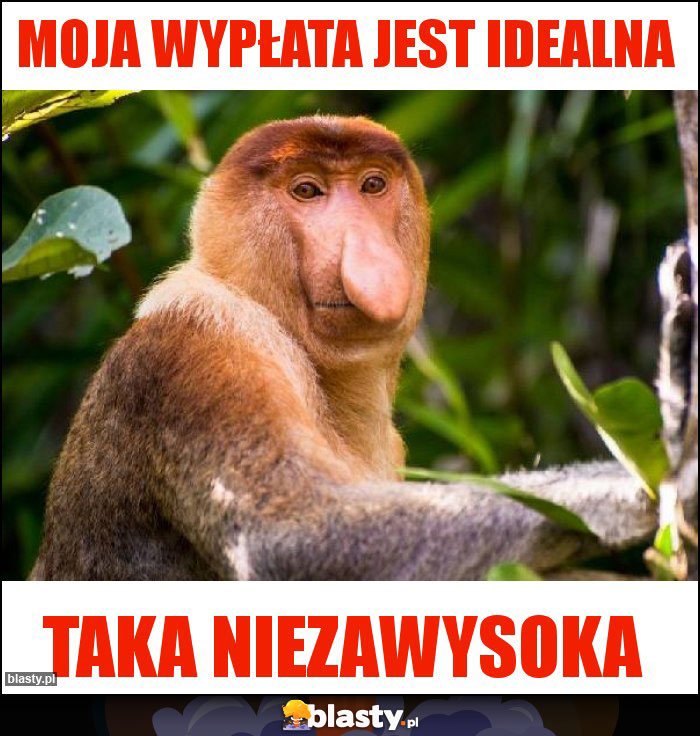 Moja wypłata jest idealna Moja wypłata jest idealna