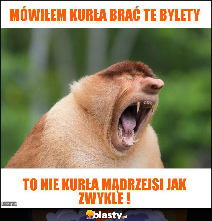 Mówiłem kurła brać te bylety Mówiłem kurła brać te bylety